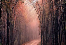 AG贵宾会：A股：又有消息出炉，明后两天，股市会启动大涨还是下跌？.