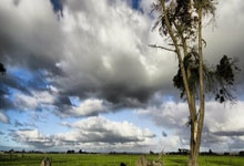 CBA:主场取胜 青岛队129-122山西队.