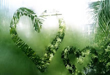 AG贵宾会：92年前的今天，第一次有中国人站上奥运赛场.