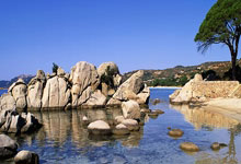 AG贵宾会：[综合]北京市中小学“体育八条”正式发布.